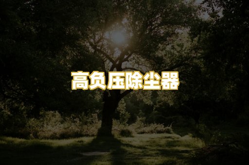 高负压除尘器